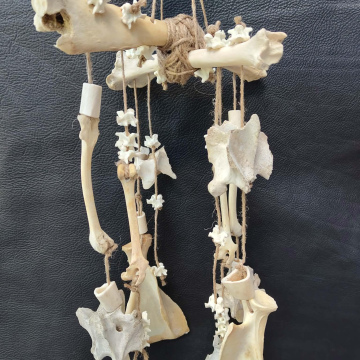 Bone Chime